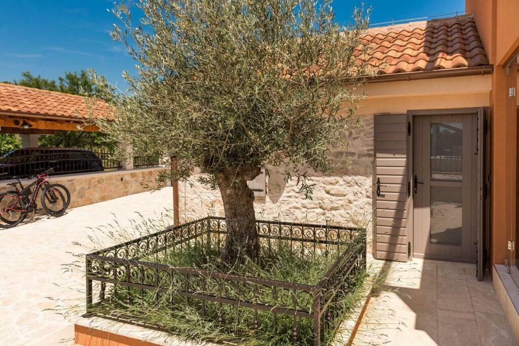 Villa Hirundo Rustica Skradin Exteriör bild